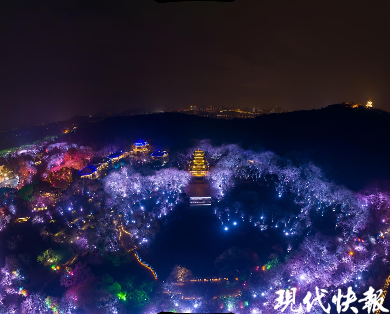 无锡太湖鼋头渚夜樱盛宴即将闭幕,2022年无锡鼋头渚樱花盛开时间