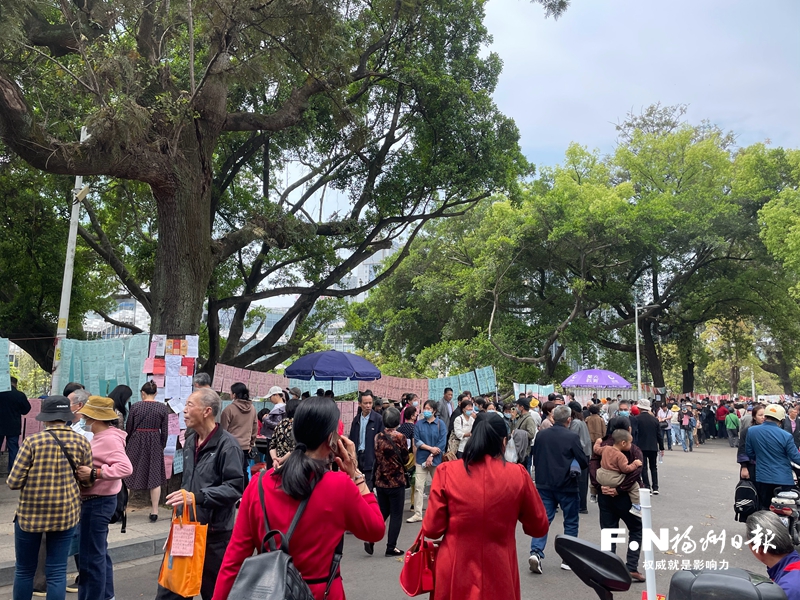 福州相亲攻略,福州相亲市场最受欢迎男性