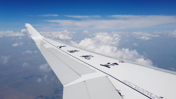 天骄航空机队规模,天骄航空2019年冬春季航班