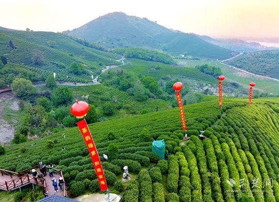 黄石打造千亿级的产业集群,黄石金海总体规划