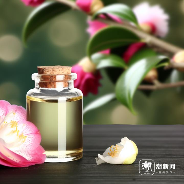 色拉正宗大豆油,色拉玉米油