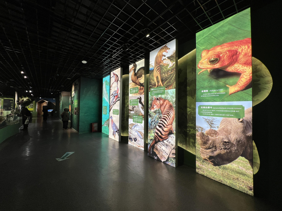 东方宝石蓝色海洋,珍稀濒危动植物