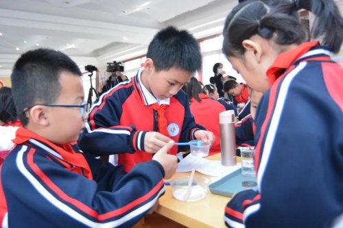 辽三小学教育集团怎么样,落实双减的小学是怎样的