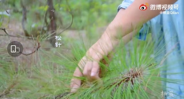 上热搜！取天地间的草木，云南女子将汉服染成了古诗词里的颜色