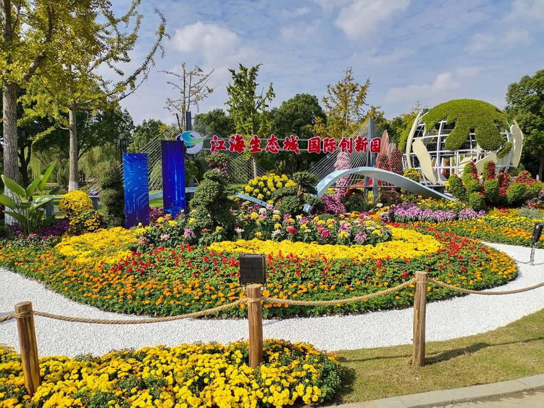 「双11」寒潮来袭检验是否空军，什么用蚯蚓也能上草鱼？