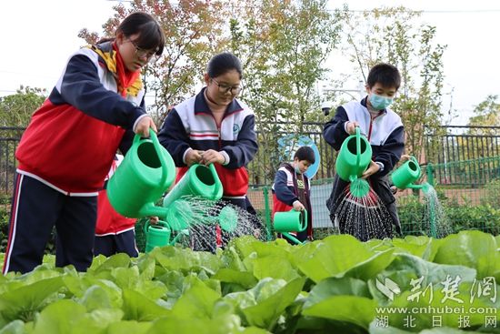 “双减”在行动｜大冶尹家湖中学：做好教育加减法，让学生个性展风采
