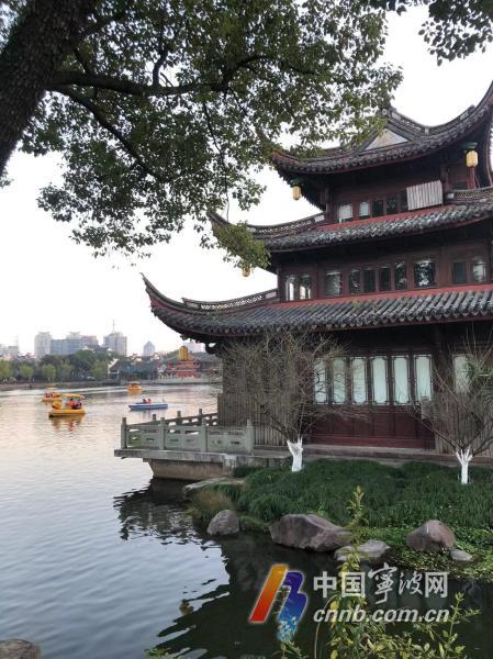 我的月湖记忆｜王国安：坐与湖畔观虚盈