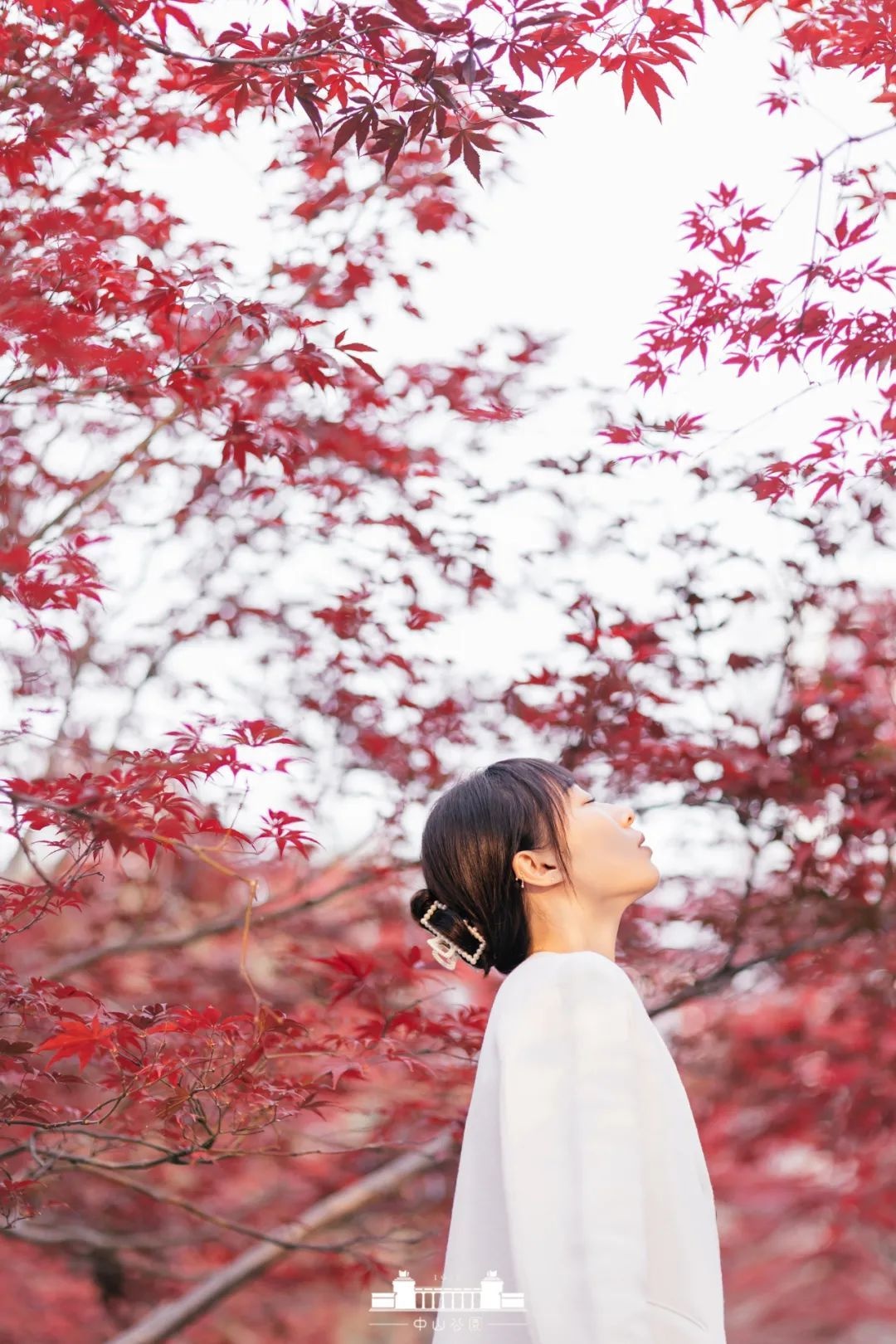 你看，公园“脸红”了