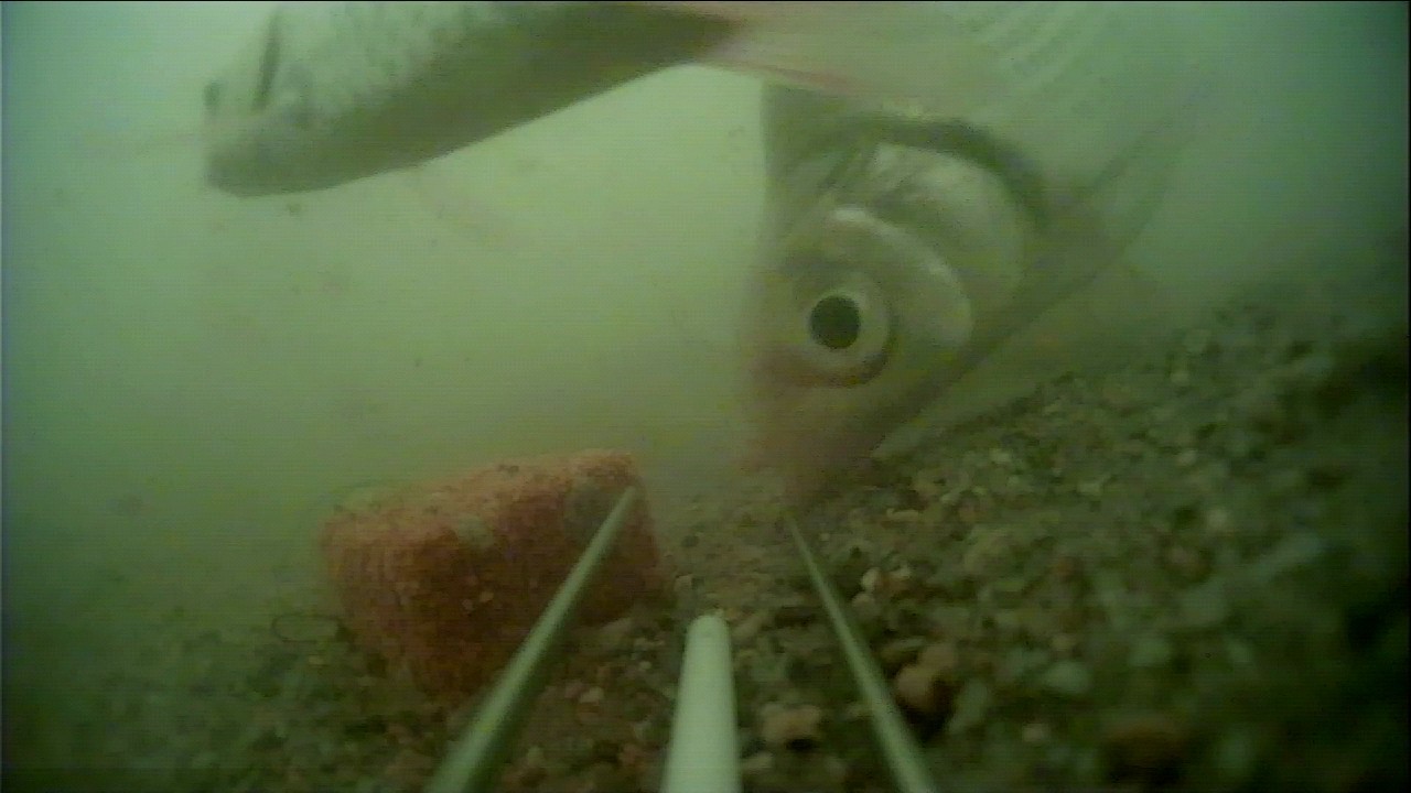 顶漂和黑漂是什么意思,顶漂上鱼和黑漂上鱼有什么区别