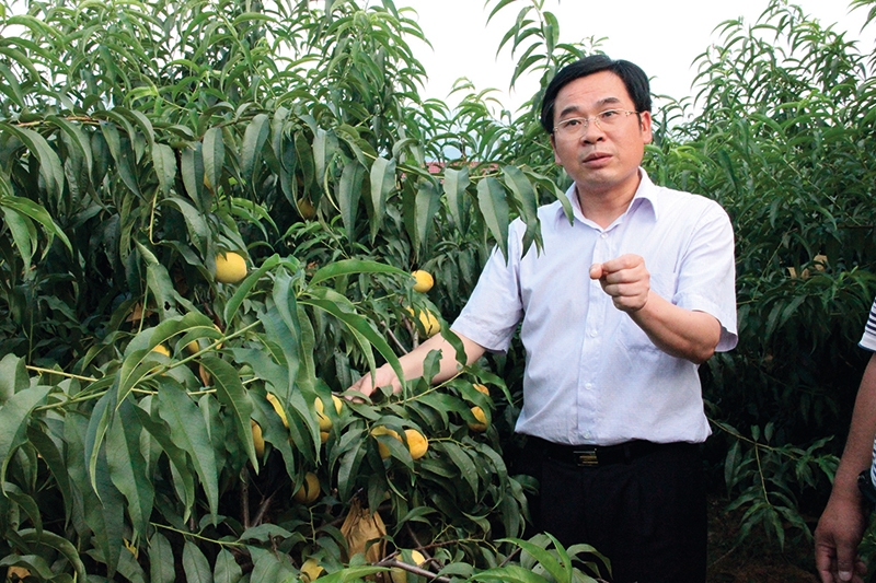 新征程呼唤焦裕禄精神,新时代焦裕禄精神