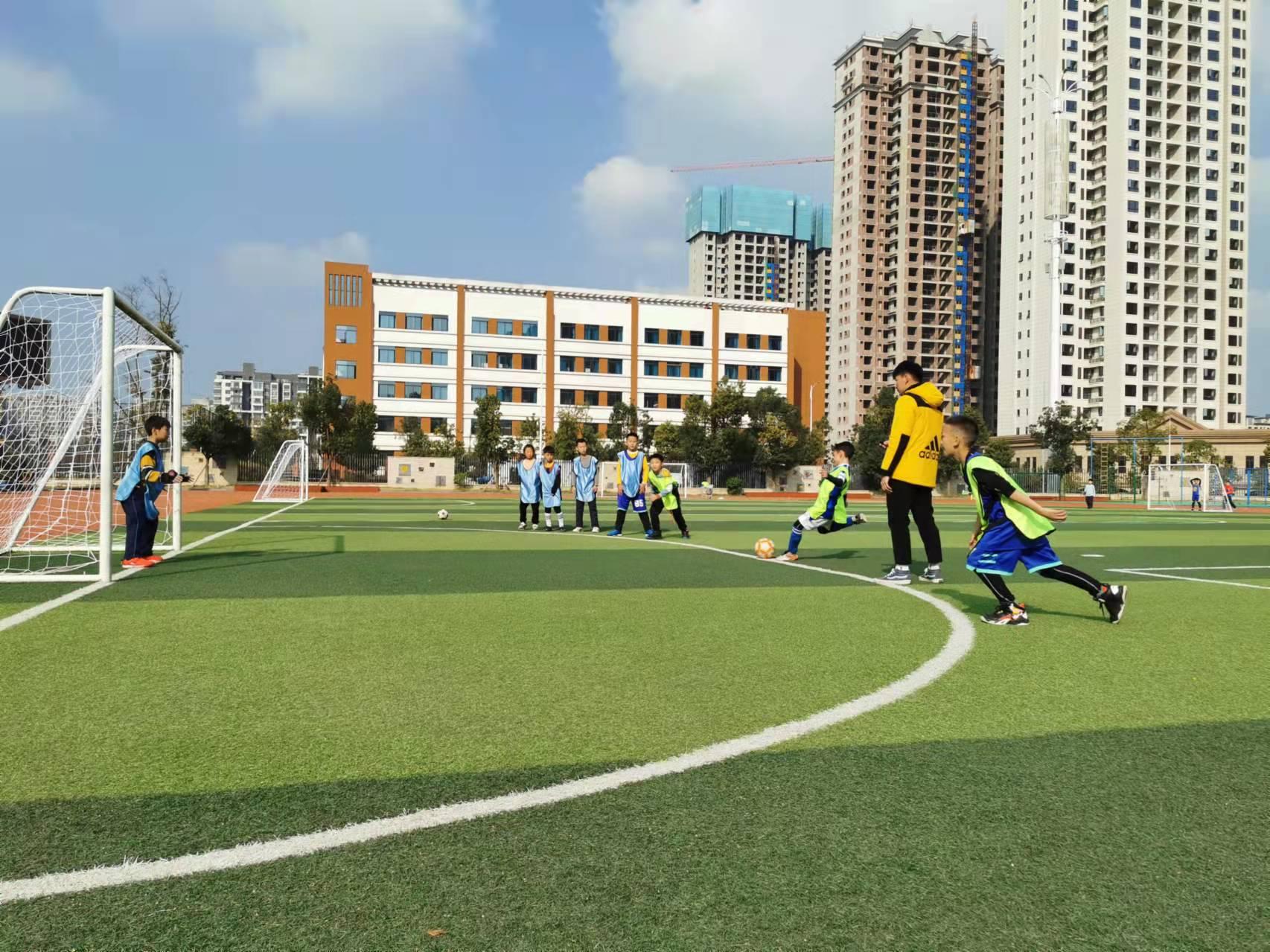 欧城小学和实验小学,欧城小学好不好