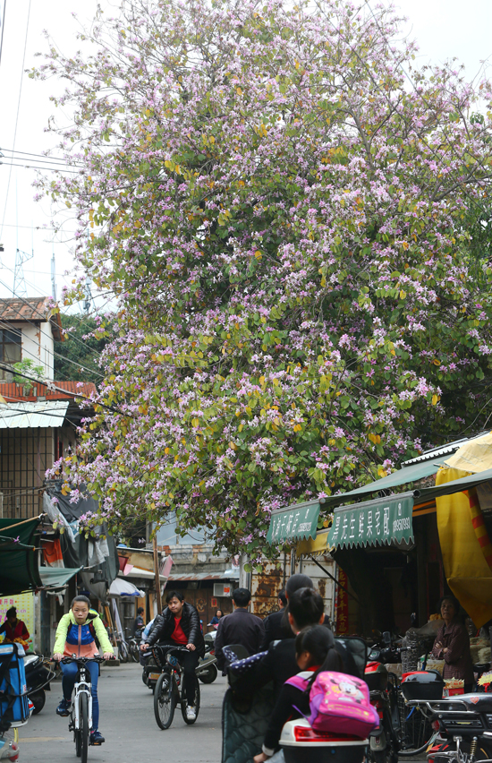泉州最值得去的古巷,泉州景区十大美食街