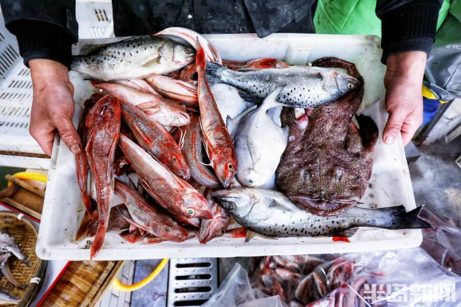 双胞胎海鲜直播间连云港,青岛双胞胎海鲜直播间