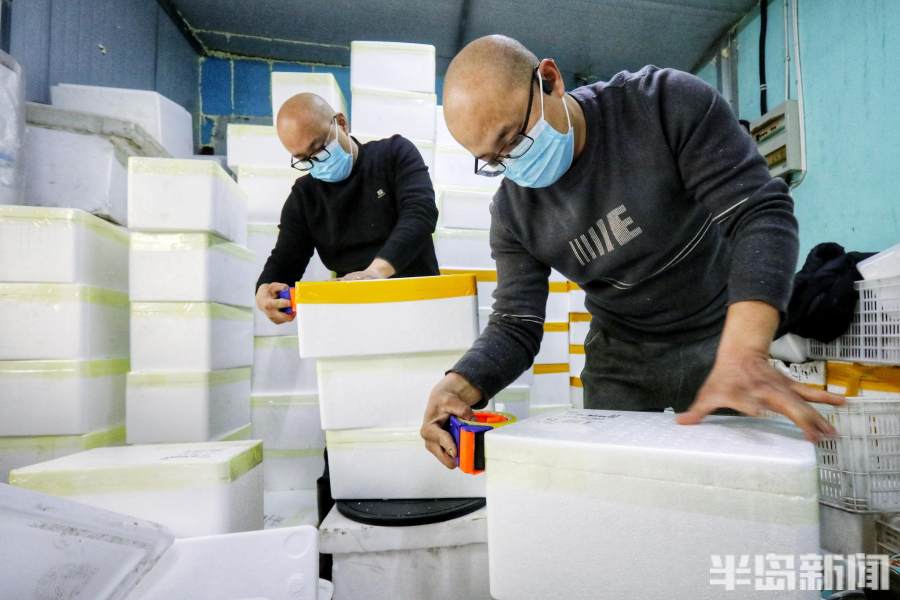 双胞胎海鲜直播间连云港,青岛双胞胎海鲜直播间