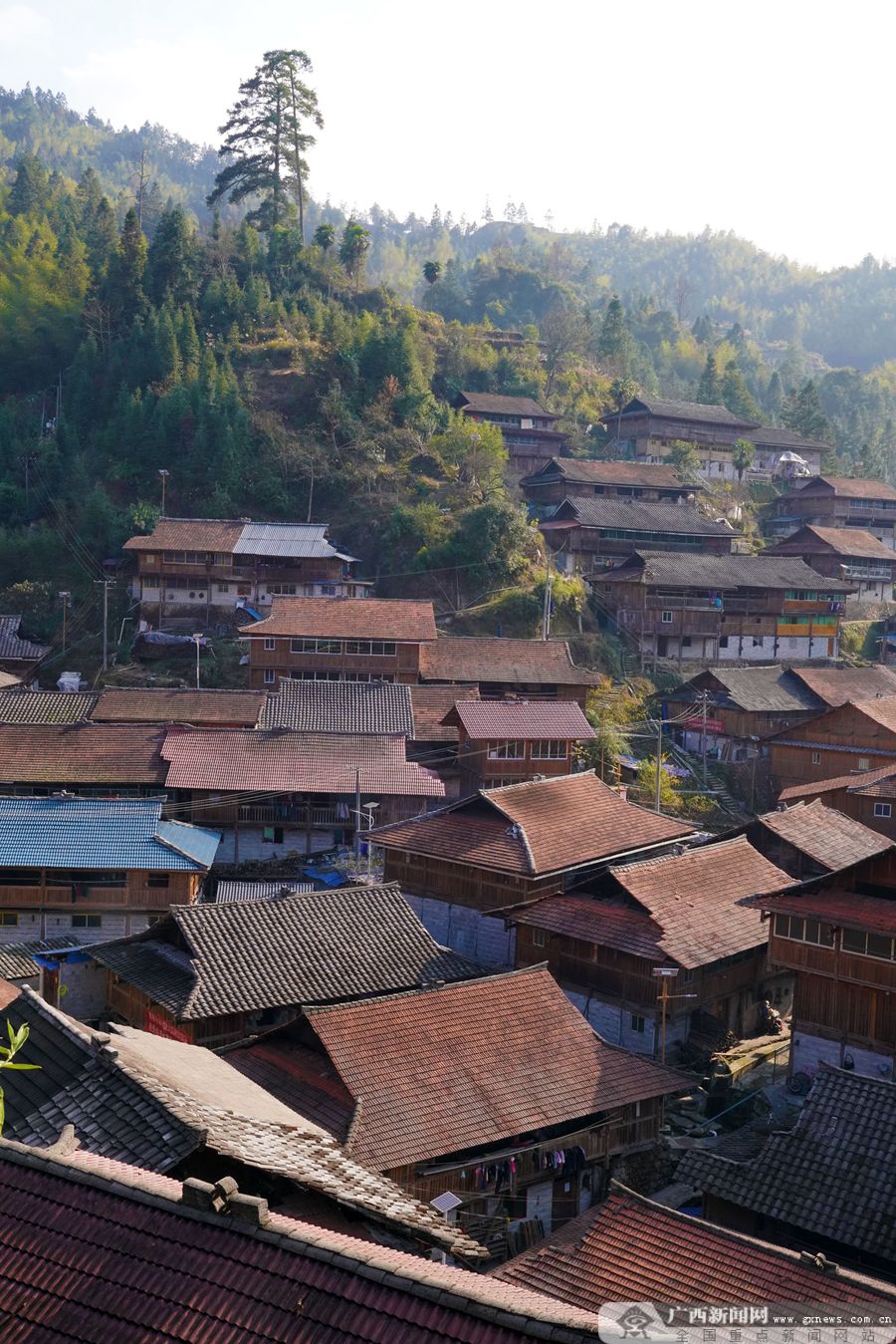 广西融水苗寨雪景如诗如画,广西融水苗寨全景图