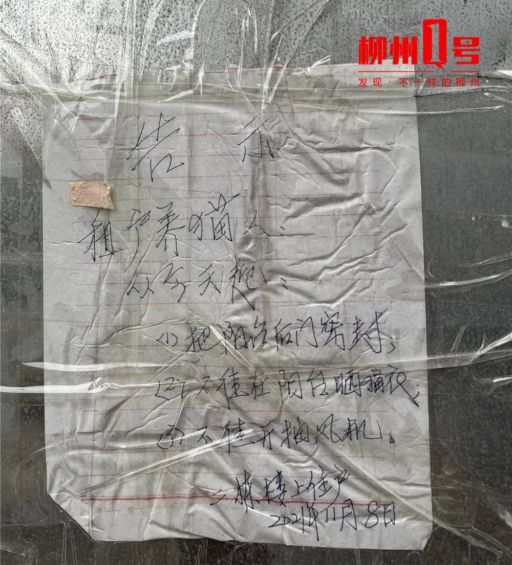 小区养猫扰民,居民养猫扰民如何解决