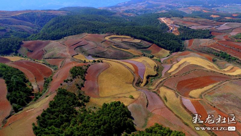 过年去云南哪里最有年味,春节期间云南哪些地方年味足