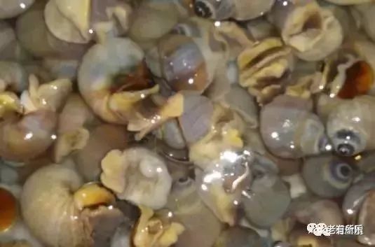 过年了做几样蒸菜,这40道健康蒸菜味道一级棒