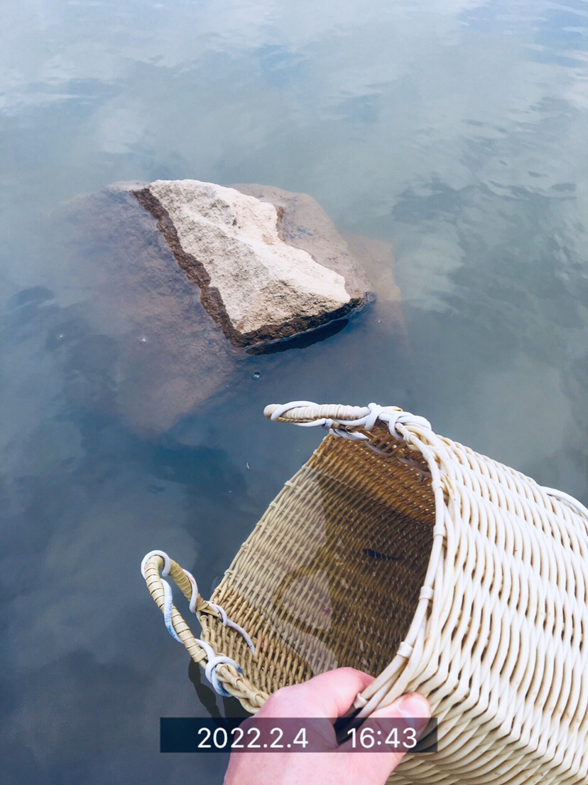 用老婆的菜篮子装新年的第一“金”