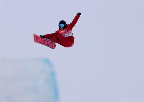 马耳他豆包姐成绩,马耳他豆包姐回国