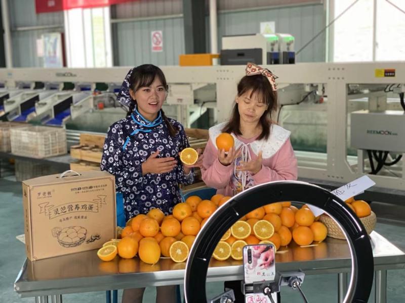 农产品电商数字化发展趋势,农产品流通业的发展