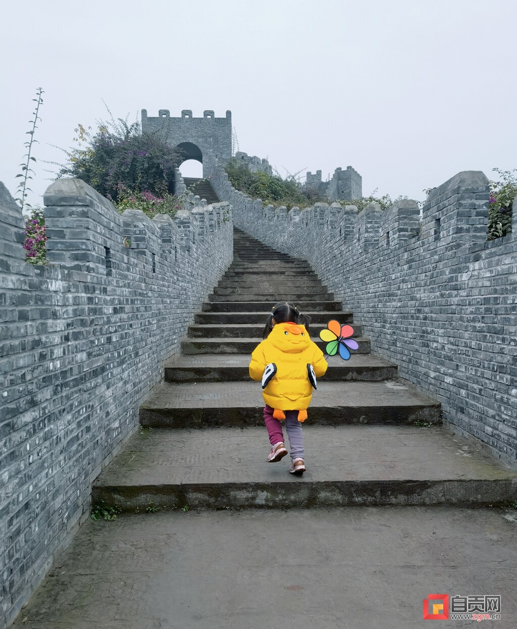 春游去哪？这份自贡“赏花地图”请收藏