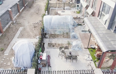 开发商把绿化变私人花园怎么处理,一楼圈地建私家花园怎么处理最好