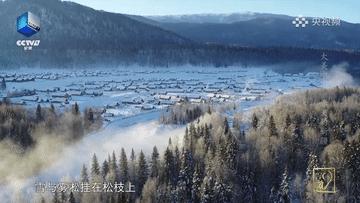 滴！跟着CCTV的镜头打卡*疆新**之春