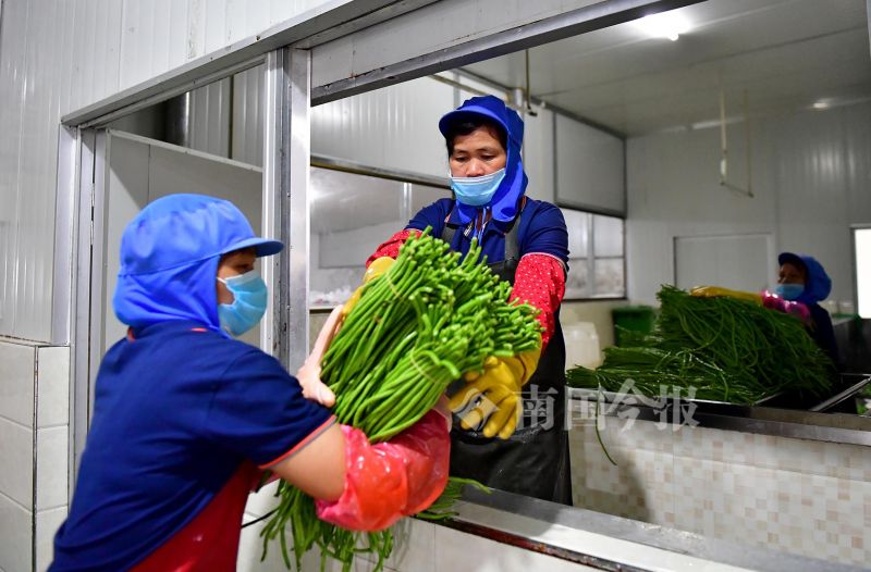 柳州螺蛳粉的配料和制作方法,正宗柳州螺蛳粉酸豆角