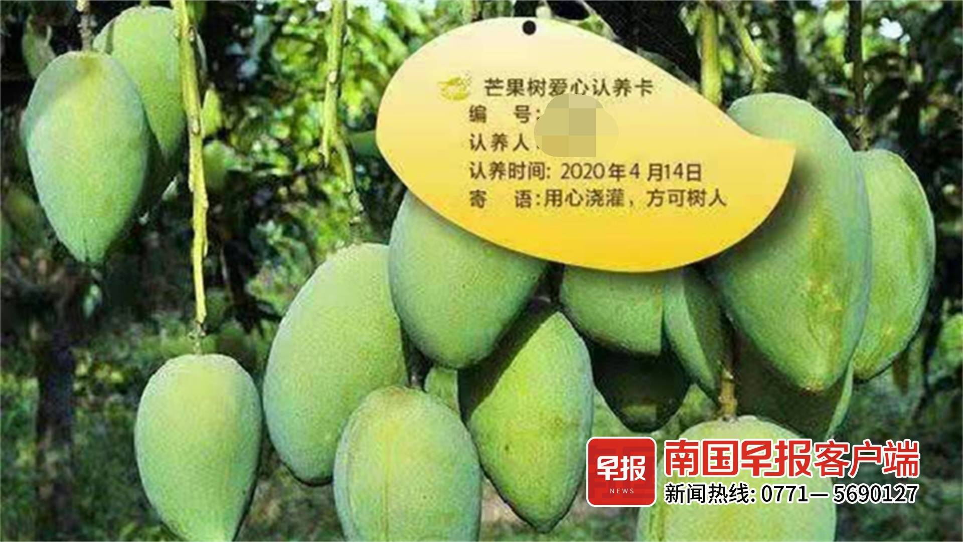 关注“云养”模式|“云养”的这些坑，你踩过吗？