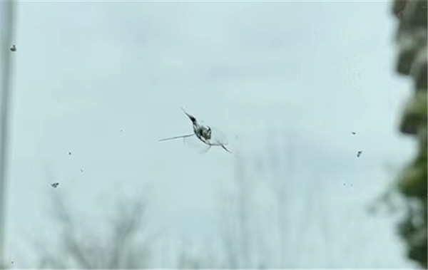 真实有效的玻璃修复液,神奇的玻璃修复液