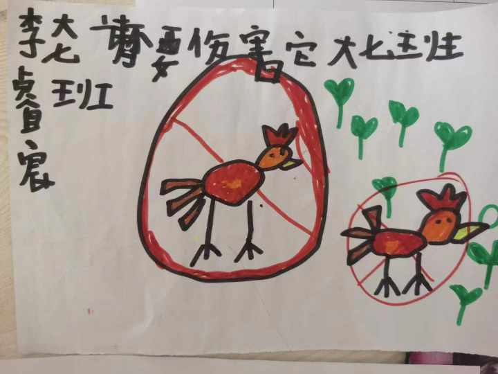 当班级里来了两只鸡……这群孩子不仅孵了蛋，赚了钱，还进行了生命教育