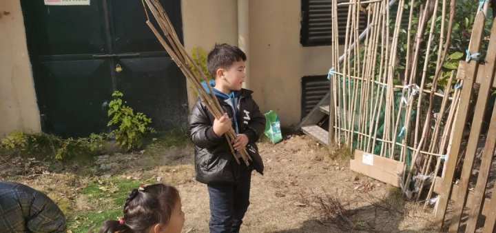 当班级里来了两只鸡……这群孩子不仅孵了蛋，赚了钱，还进行了生命教育