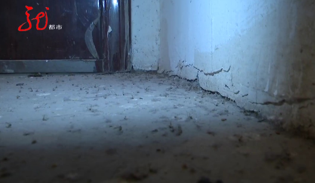 哈尔滨一小区楼道蚊子,一小区摇蚊肆虐居民防不胜防