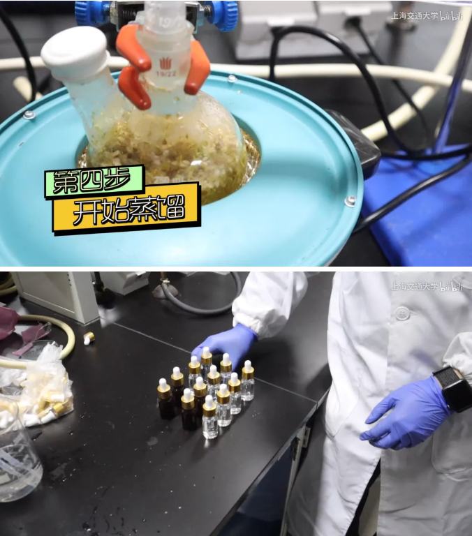 像臭鱼味道的花,这么美的花就没人欣赏吗