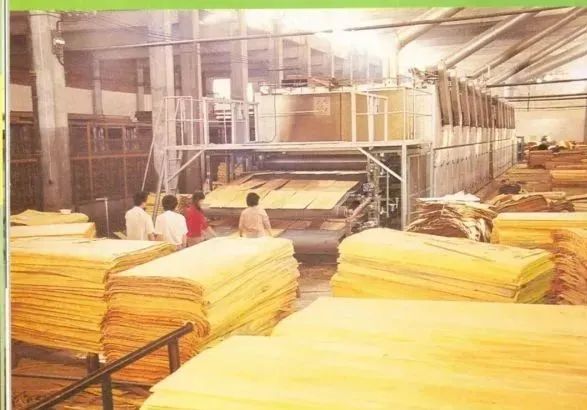 沪明情深！背后的故事不曾忘记