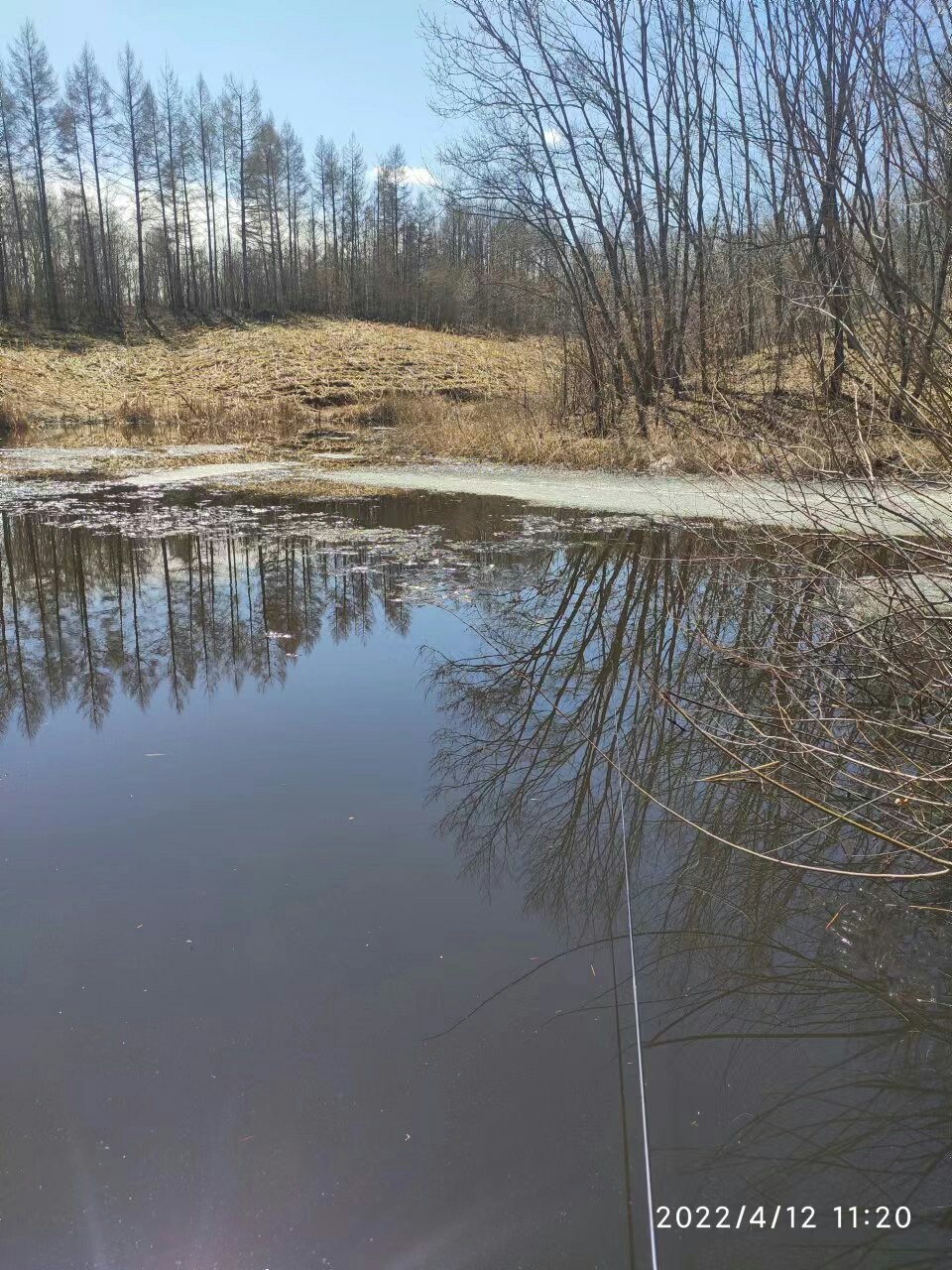 赶个晚潮流完整版,普通野钓罗非超细尾浮漂推荐
