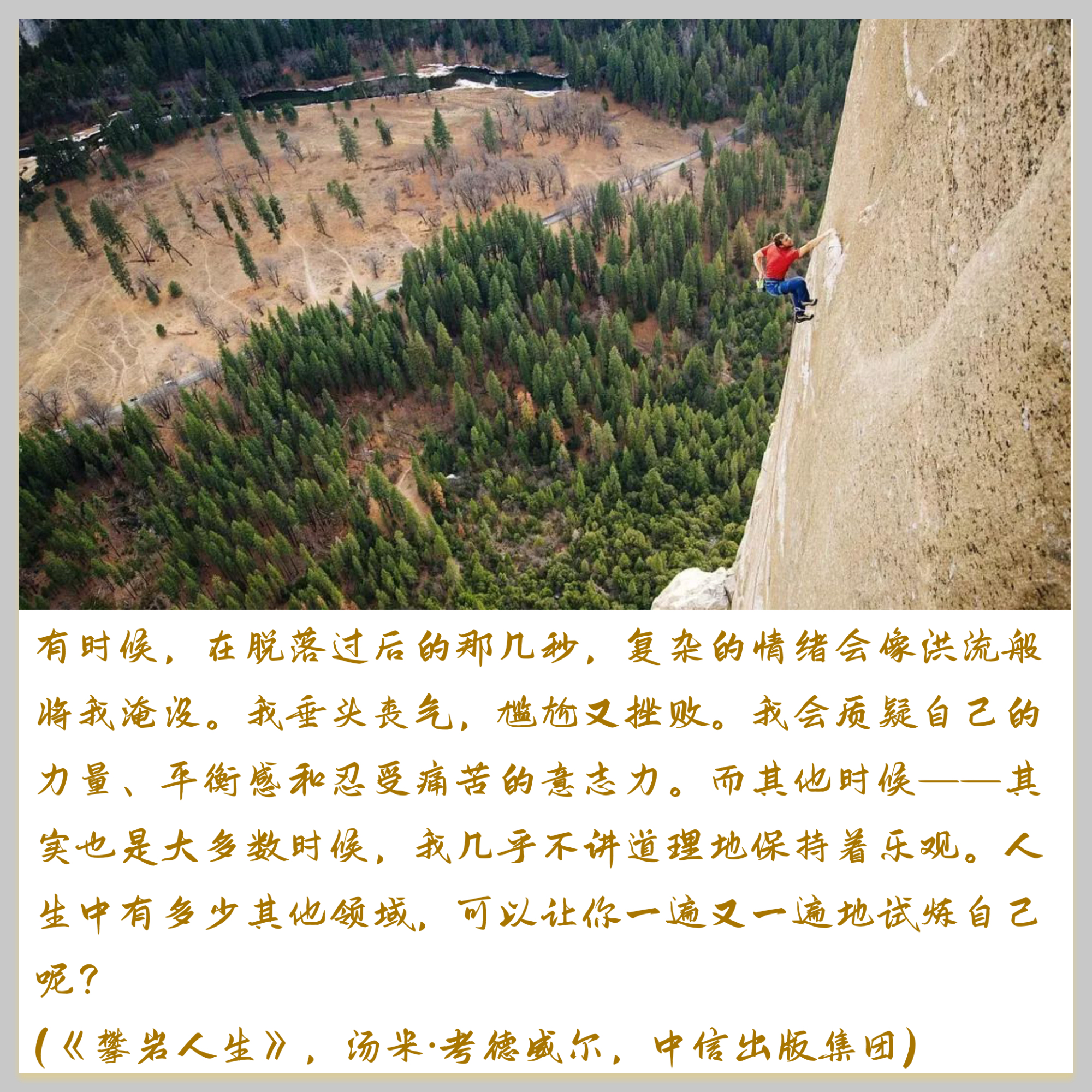 追光的人终究会光芒万丈感悟,有关追光的美文