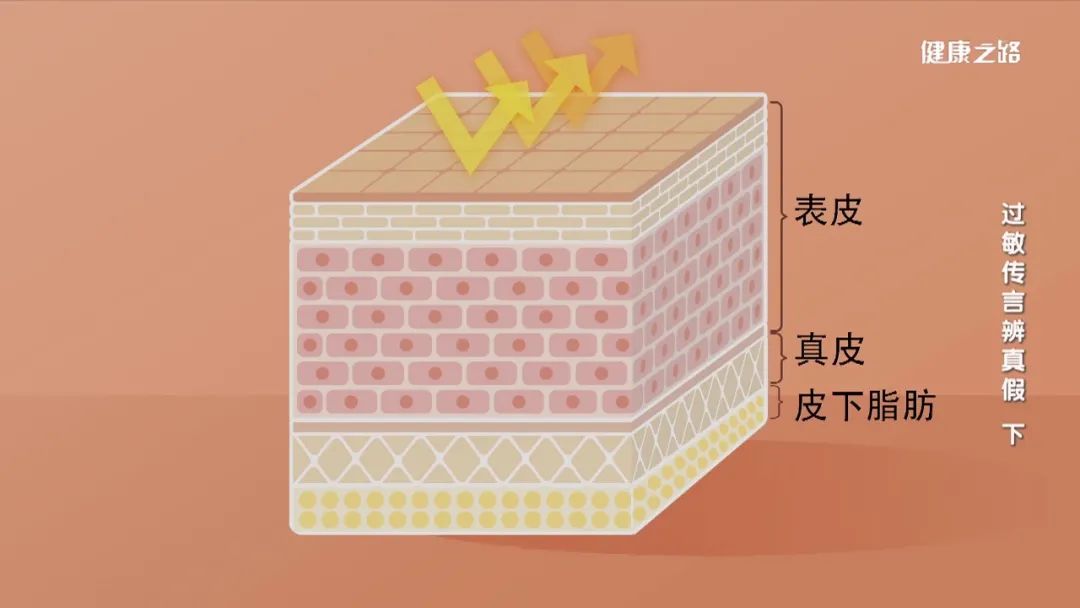 皮肤过敏需要注意的事项,皮肤过敏要护肤吗