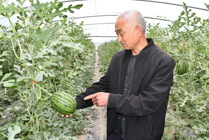 党建引领村集体经济增收实施方案,惠民县麻店镇发展规划