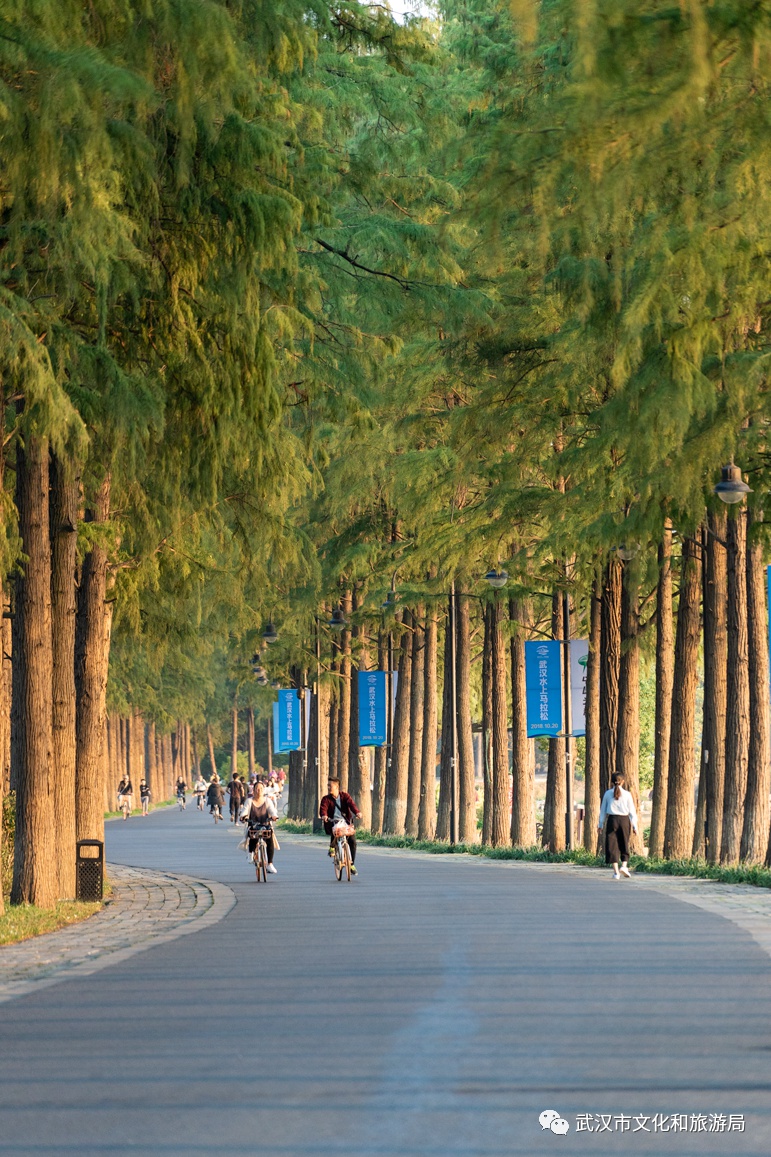 武汉十大必玩处,武汉十大儿童必玩地方