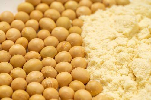 莫干山enf豆茵板tvoc超标吗,莫干山enf豆茵板是生态板吗