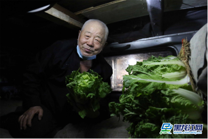 精品蔬菜批发市场图片,哈尔滨薛家蔬菜批发市场