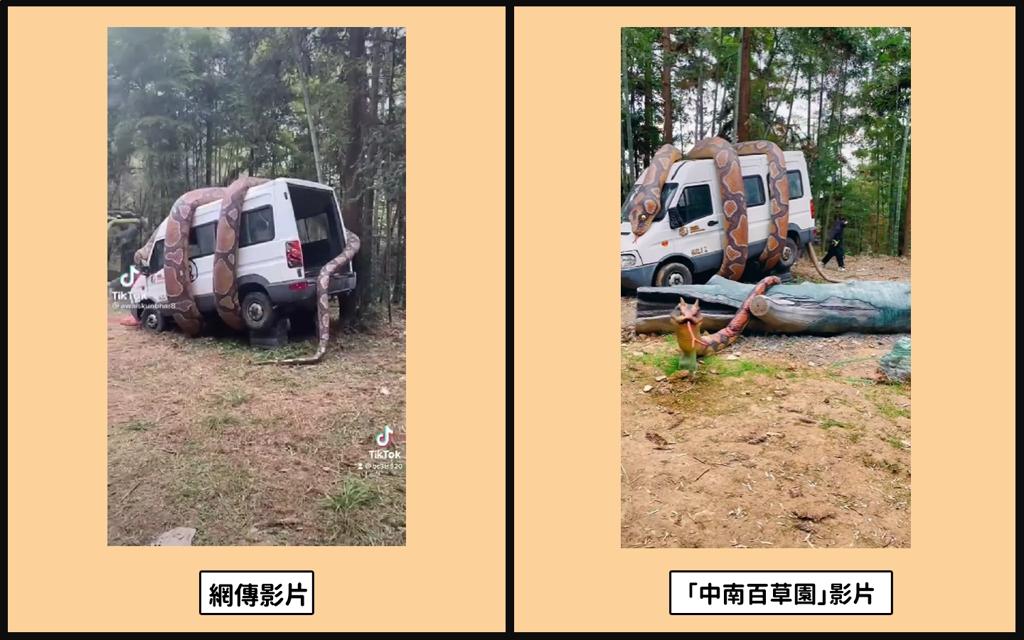 最大的巨蟒出现在哪里,三米长的巨蟒现身闹市视频