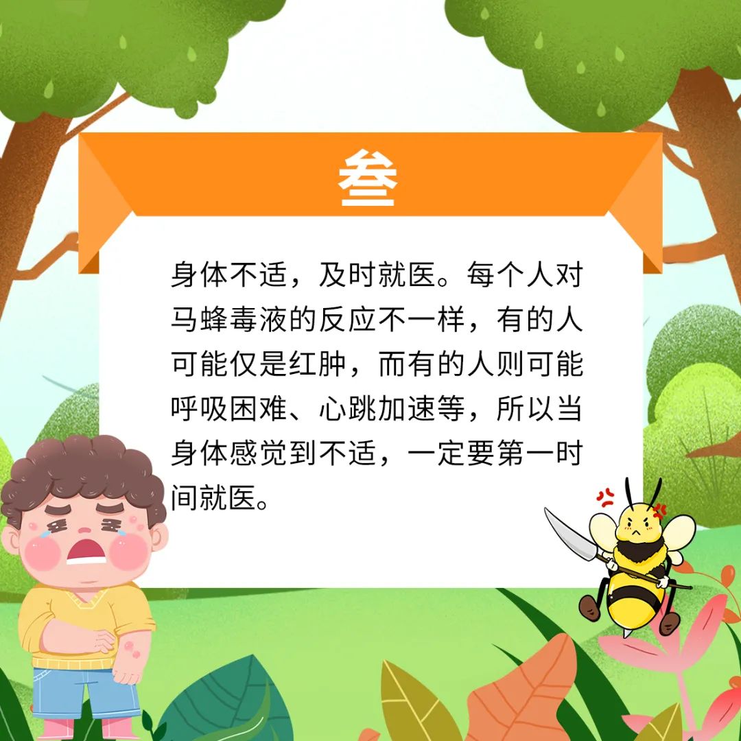 马蜂窝最佳驱蜂方法,马蜂窝的正确驱蜂方法