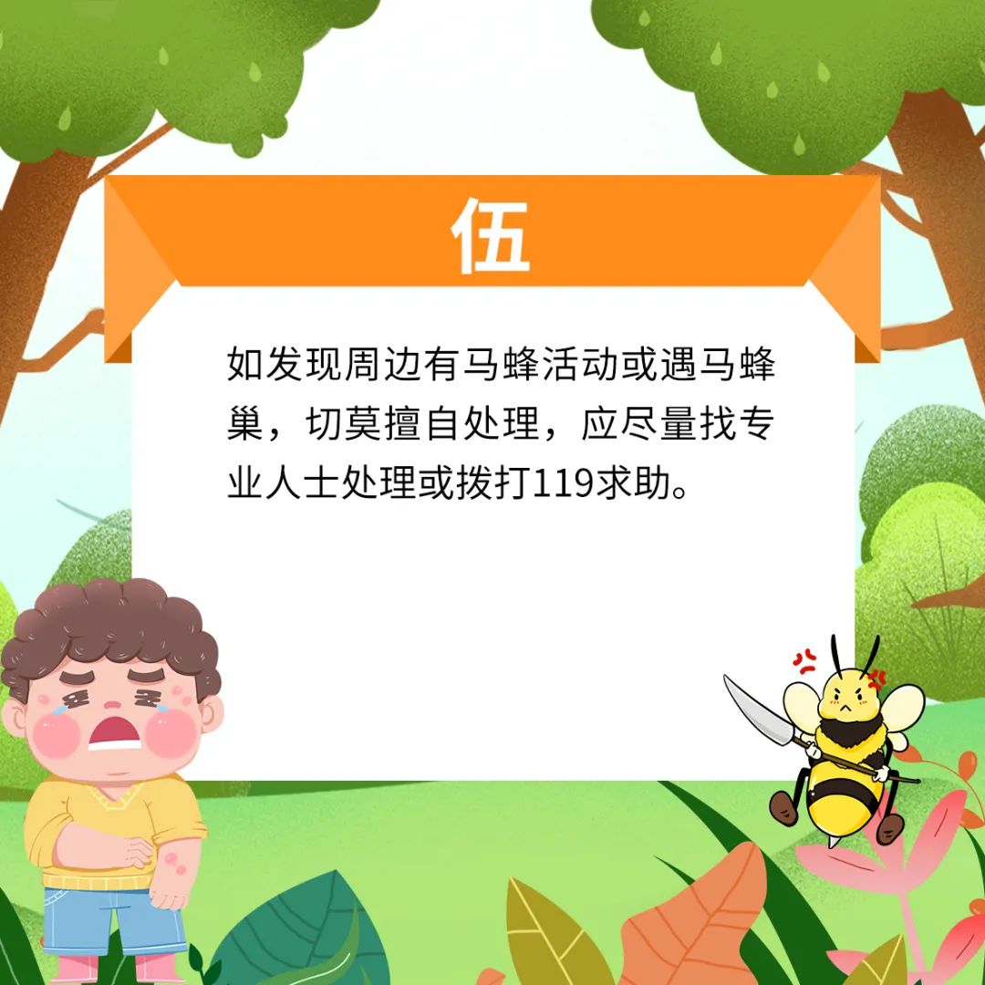 马蜂窝最佳驱蜂方法,马蜂窝的正确驱蜂方法