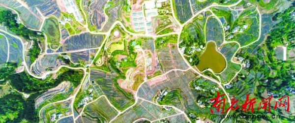 两项改革气象万千天地宽