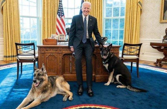 侃天下｜澳新总理爱犬开社交媒体账号，首条推文：我来啦！汪