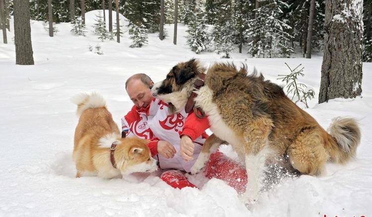 侃天下｜澳新总理爱犬开社交媒体账号，首条推文：我来啦！汪