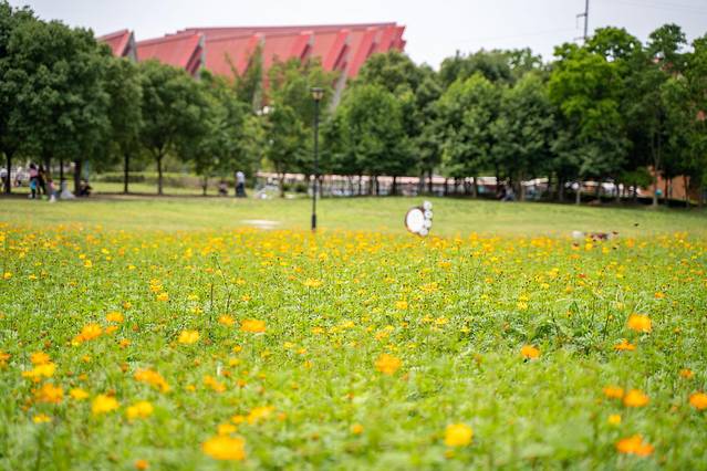 铜陵文化历史,安徽铜陵文化特色